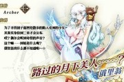 FGO凤凰羽毛本打法攻略？如何高效获取羽毛？