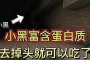 《我的世界》中如何有效击败小黑？有哪些技巧和方法？