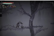 盐和避难所如何无限刷Boss？掌握最新刷盐技巧！
