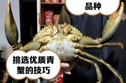 梦幻西游中大青蟹的售价是多少？