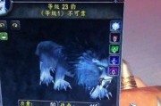 魔兽世界宠物战斗周详解（掌握宠物战斗技巧）