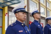 《森林捍卫者》游戏如何让森林雄起？常见问题有哪些？