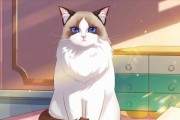 《探秘《猫之宿约者》四大男主》（解密游戏中的主要角色）