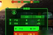 辐射避难所中杂物的用途是什么？如何有效利用这些物品？