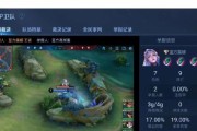 王者荣耀鹰眼小队（打造专业团队）