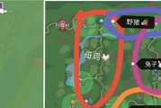 小森生活（在游戏中寻找刷新位置）