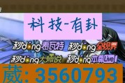 功夫麻将有哪些特色？如何提升游戏体验？