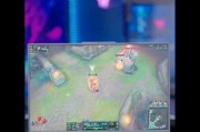 英雄联盟fps设置方法是什么？如何优化游戏性能？