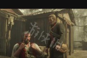 荒野大镖客2完美毛皮获取攻略（如何获取荒野大镖客2中的完美毛皮）