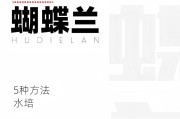 海兰宠物的培养方法是什么？培养过程中应注意什么？
