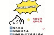 《猫之城灵棰惊竹》解析（一款以猫为主题的游戏）