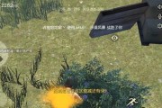 《荒野行动》中隐藏的美景有哪些？如何快速找到这些地方？
