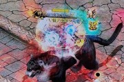 魔域五虎配置中骑士角色表现如何？配置建议是什么？