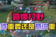 王者荣耀伊人露露的玩法技巧有哪些？如何提升胜率？