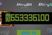 《热血无赖麻将》支线麻将任务攻略（详解游戏内的支线麻将任务）