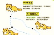 携带宠物进入对局的操作步骤是什么？