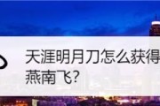 《天涯明月刀手游》燕南飞技能属性介绍（燕南飞的强大技能让你体验刀刀爆发的快感）