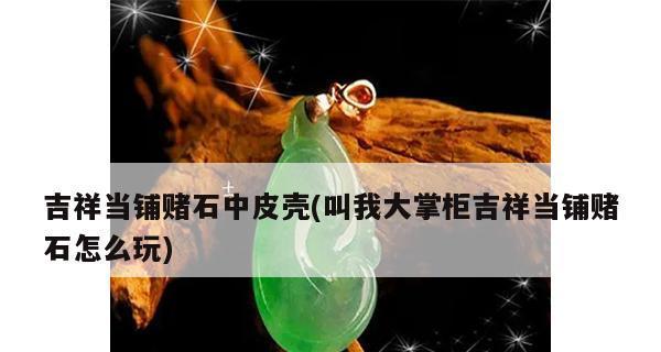 废品大亨当铺探索指南（游戏攻略）