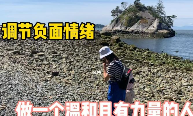 一小时人生养羊技巧有哪些？如何快速掌握养羊技能？