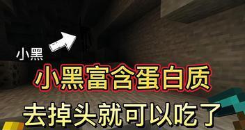 《我的世界》中如何有效击败小黑？有哪些技巧和方法？
