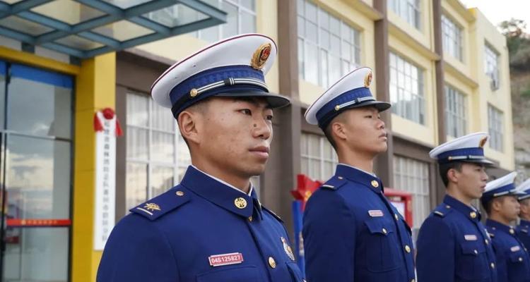 《森林捍卫者》游戏如何让森林雄起？常见问题有哪些？