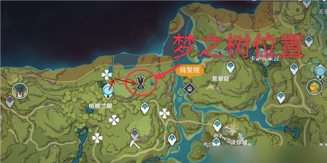 原神中虚空树的位置在哪里？虚空树有什么特别之处？