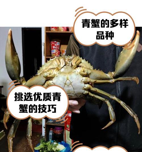 梦幻西游中大青蟹的售价是多少？