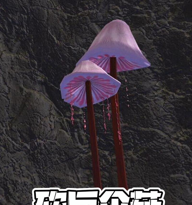 奇怪的蘑菇魔兽世界怎么玩？蘑菇的特殊用途是什么？