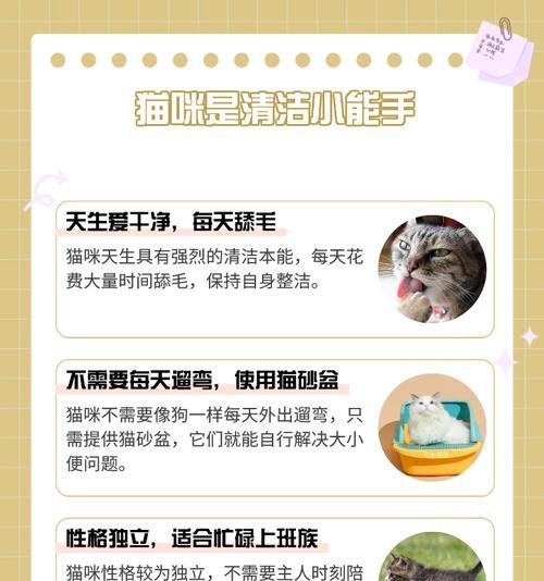 海兰宠物的培养方法是什么？培养过程中应注意什么？