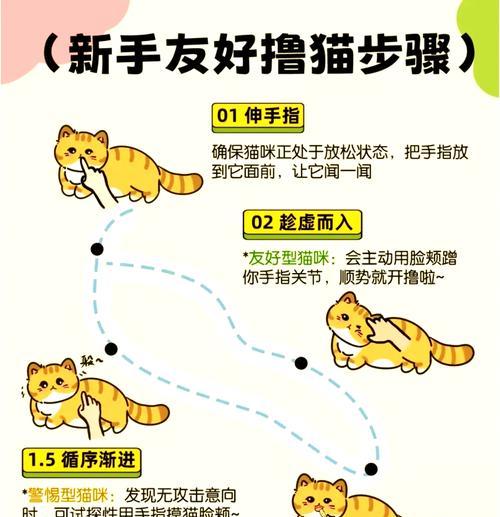 携带宠物进入对局的操作步骤是什么？