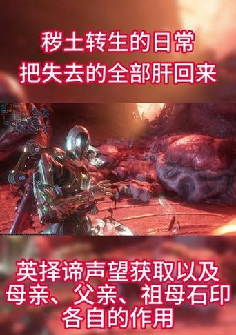 星际战甲声望代表在哪里可以找到？