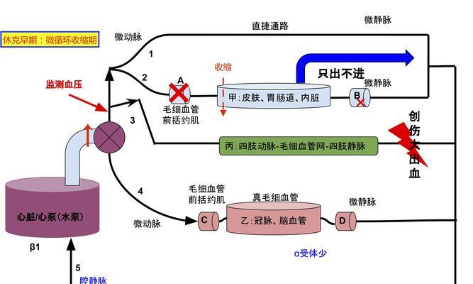 顿巴斯分身机制的解释是什么？