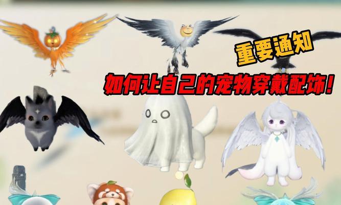 宠物装扮方法是什么？装扮效果如何？